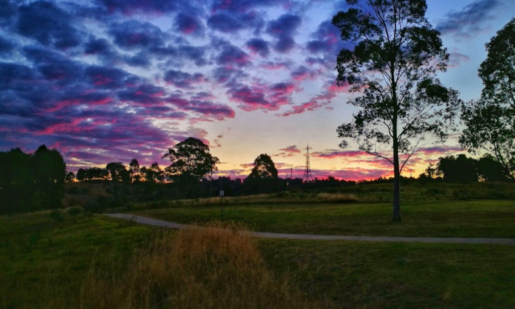 wavekitchen wavekitchens